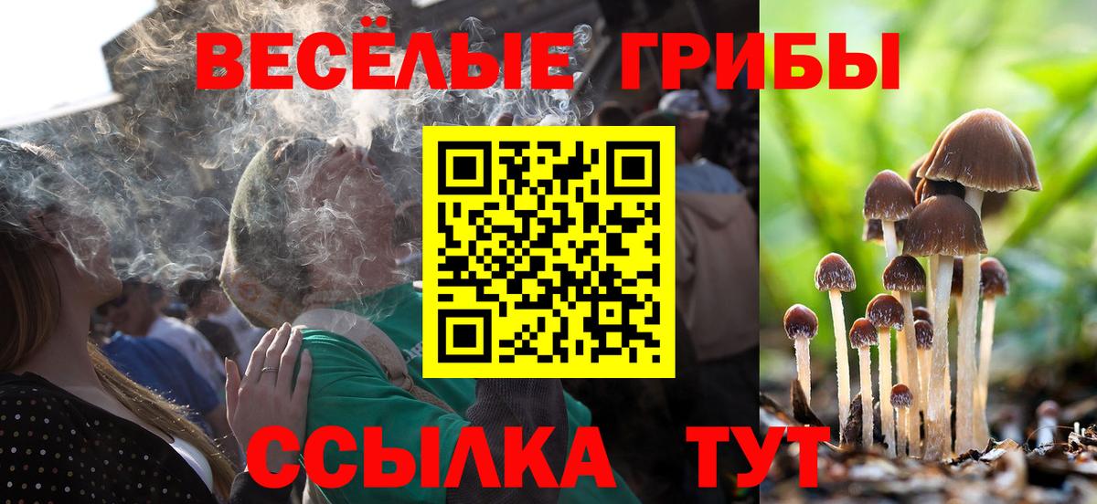 Ногинск  дарнет шоп  Вход с VPN  Галлюциногенные грибы MAGIC MUSHROOMS  Псилоцибиновые грибы Psilocybine cubensis 