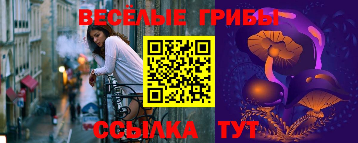 Галлюциногенные грибы Cubensis Ногинск
