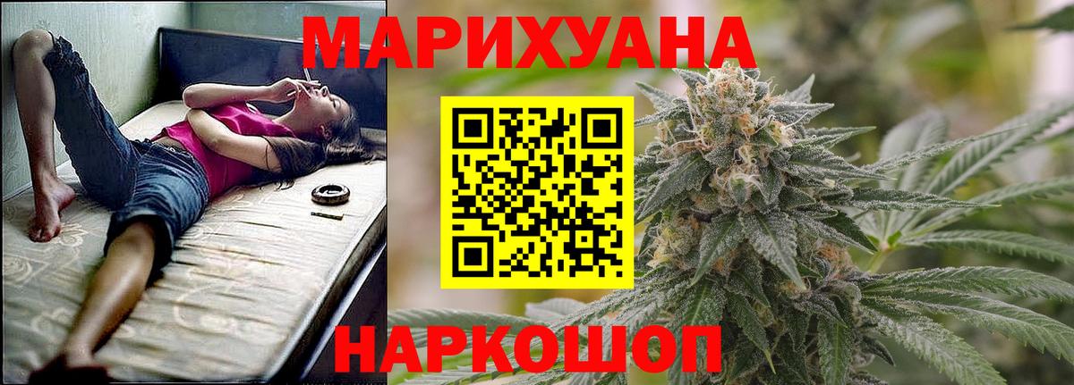 Бошки Шишки планчик Ногинск